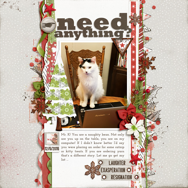 Need Anything?