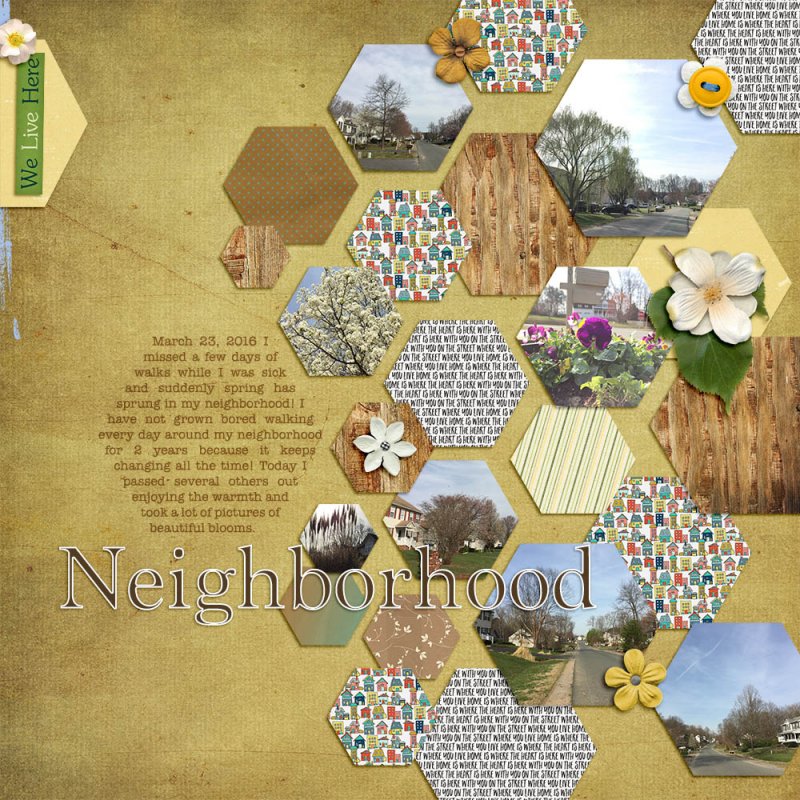 Neighborhood
