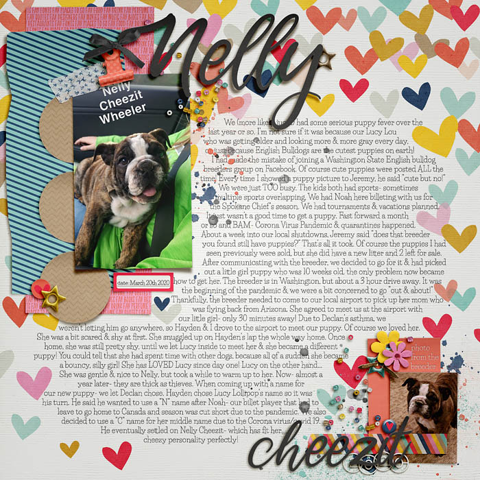 Nelly Cheezit MOC11