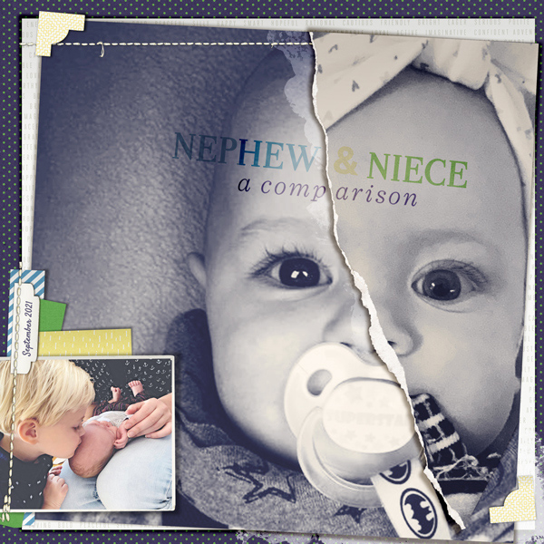 Nephew & Niece Comparison