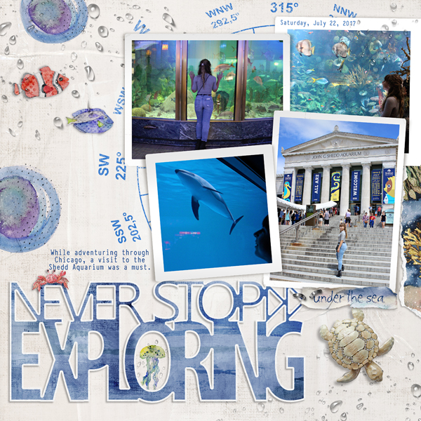 Never Stop Exploring
