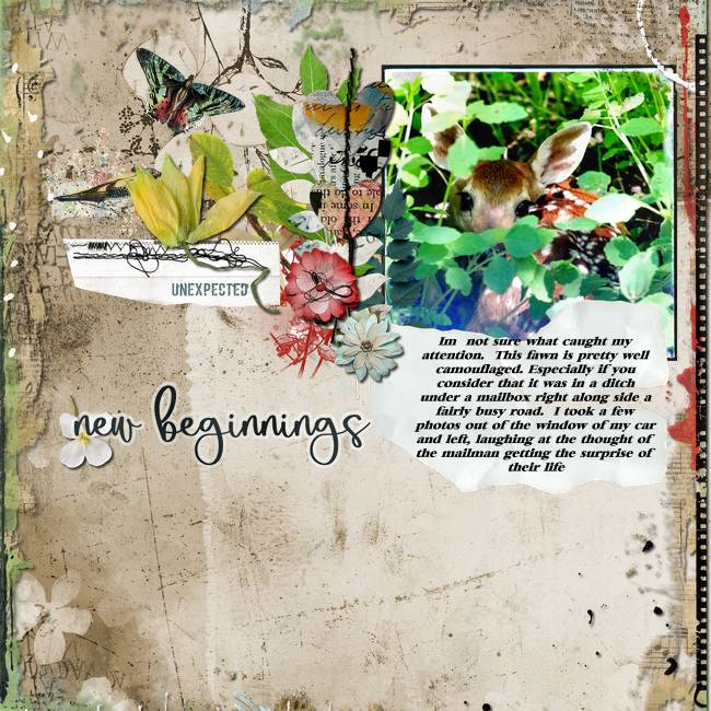 New Beginnings