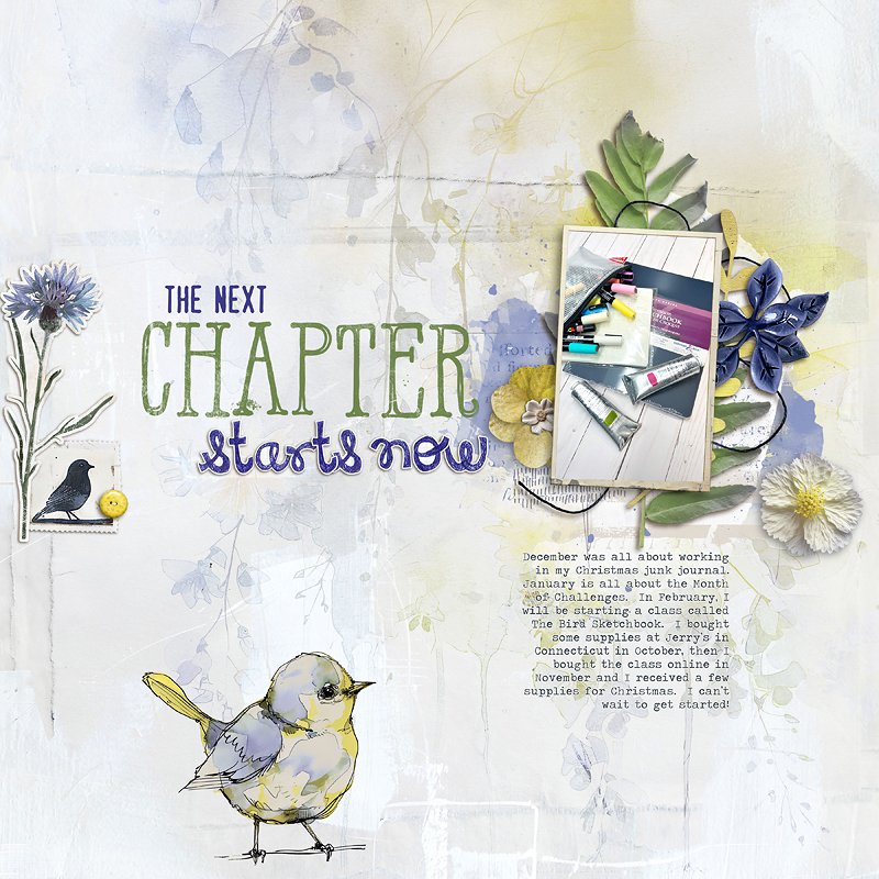 New Chapter Bird Class - MOC Day 23