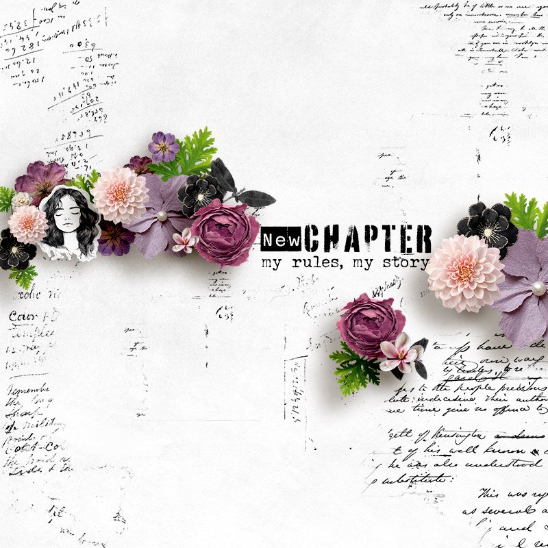 New Chapter