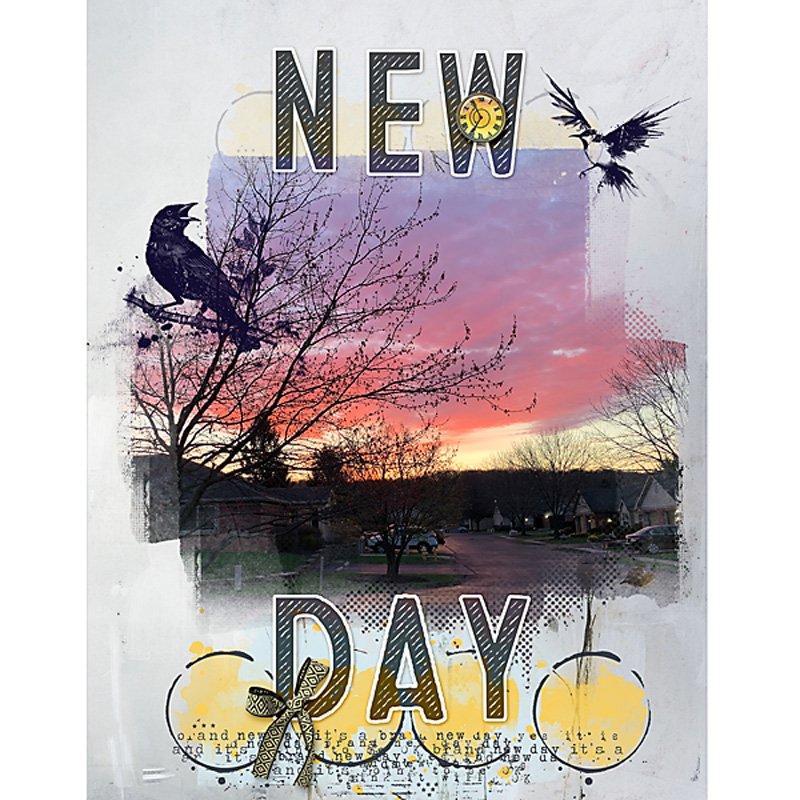 New-Day_flowersgal_sq_web.jpg