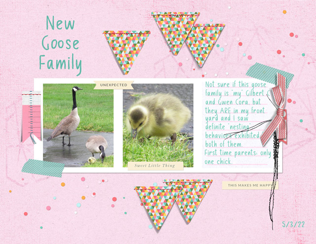 New-Goose-Family