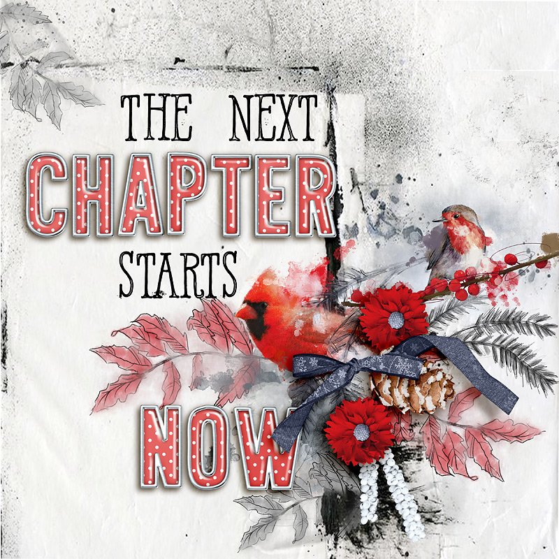 Next Chapter