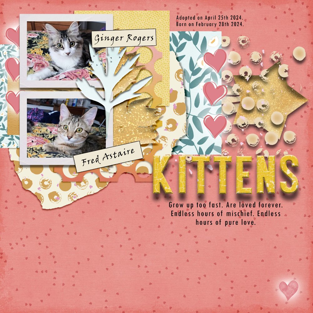Nini Goes Kitten Crazy.jpg