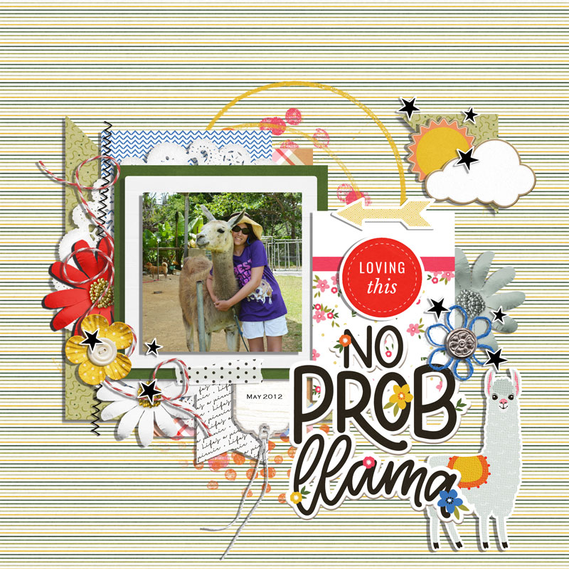 no prob llama