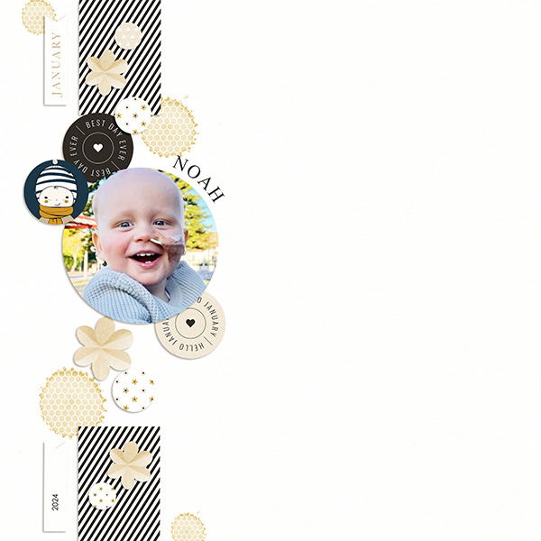Noah-