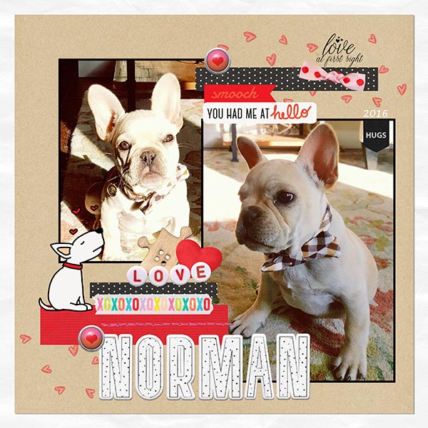 Norman