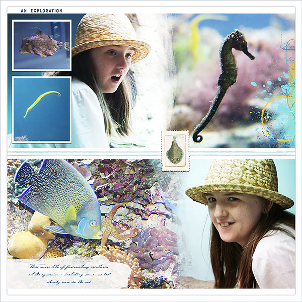 Noumea Aquarium 2