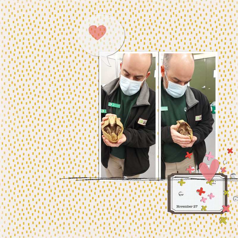 Nov-2024-TLP-monthly-Scraplift
