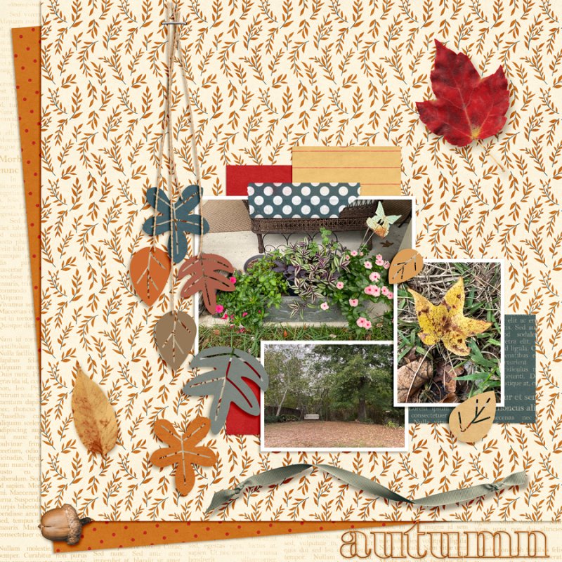 Nov-Template-Challenge-web