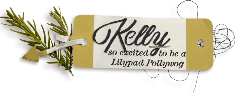 November 2023- new Lilypad Siggy