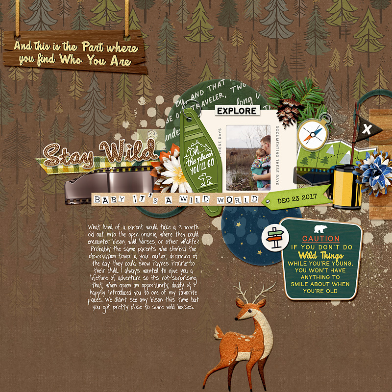 November 2024 template challenge