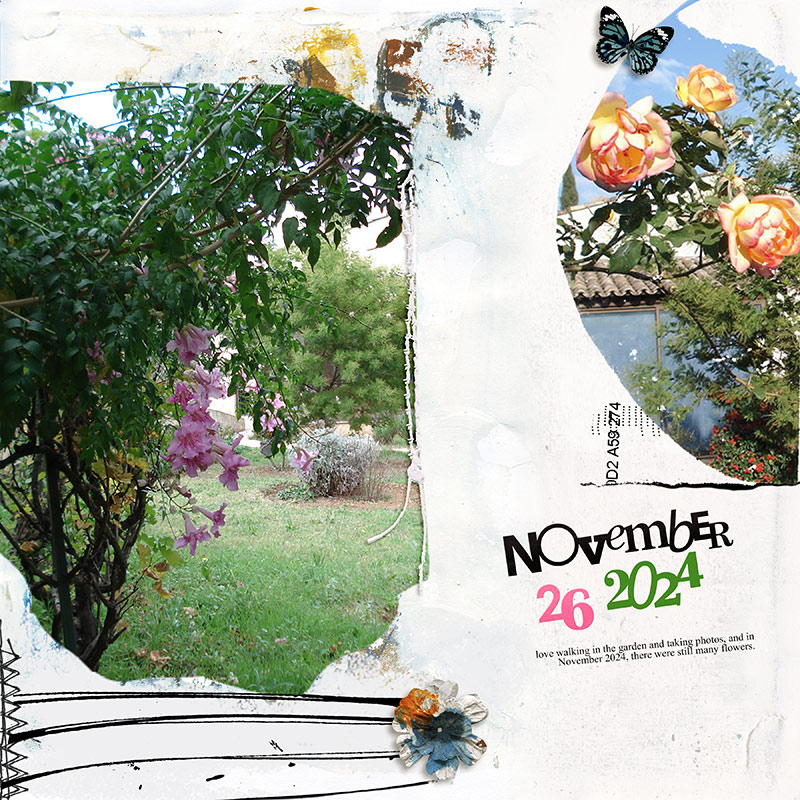November in the garden