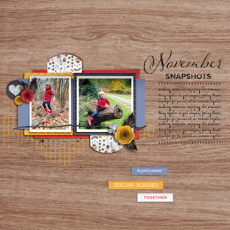 November Snapshots