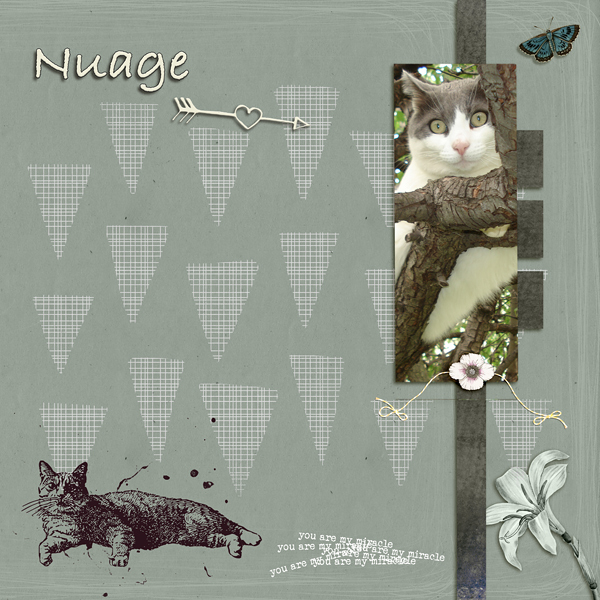 Nuage