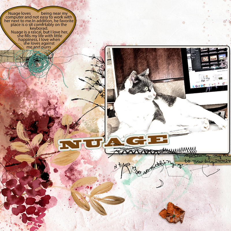 Nuage