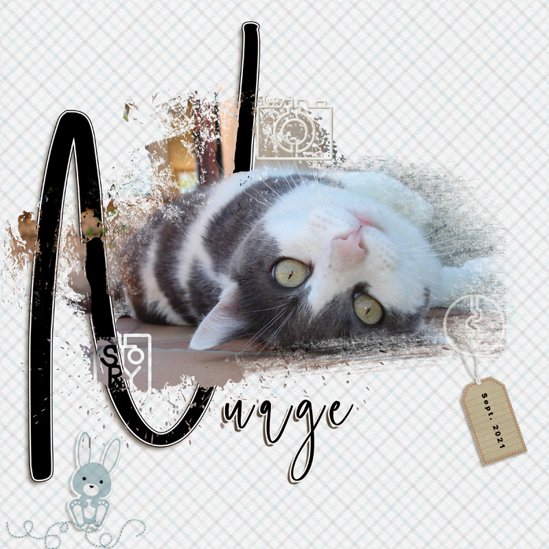 Nuage