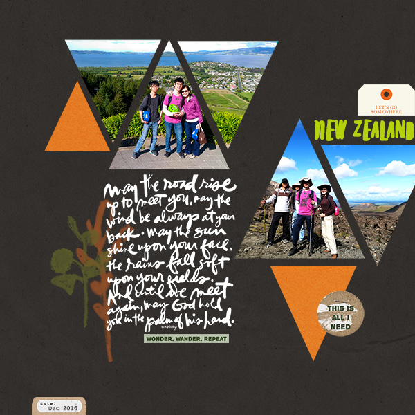 NZ Trip Cover