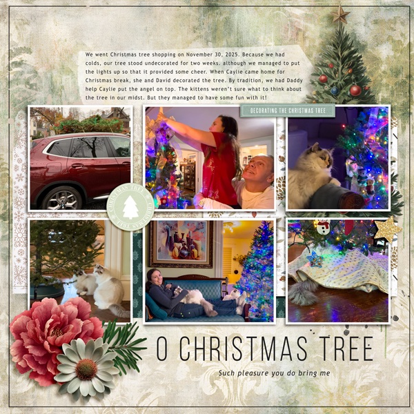 O Christmas Tree