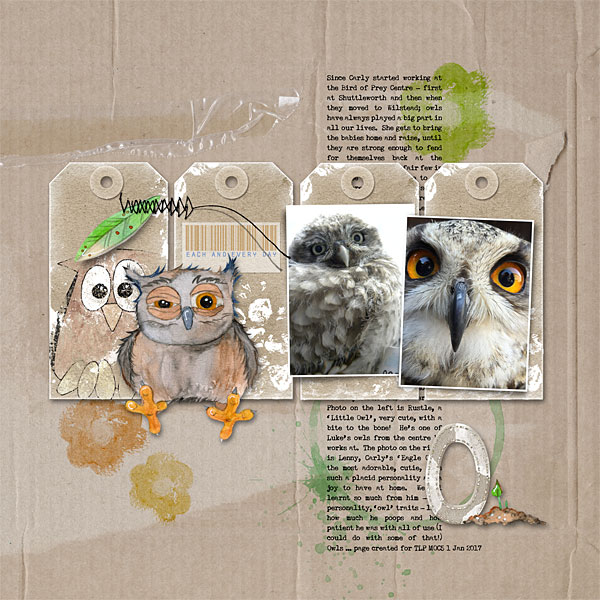 O for Owls
