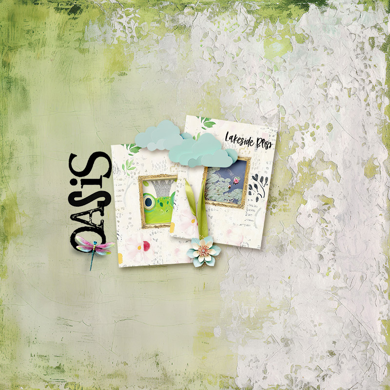 oasis