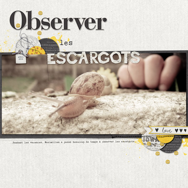 Observer les escargots