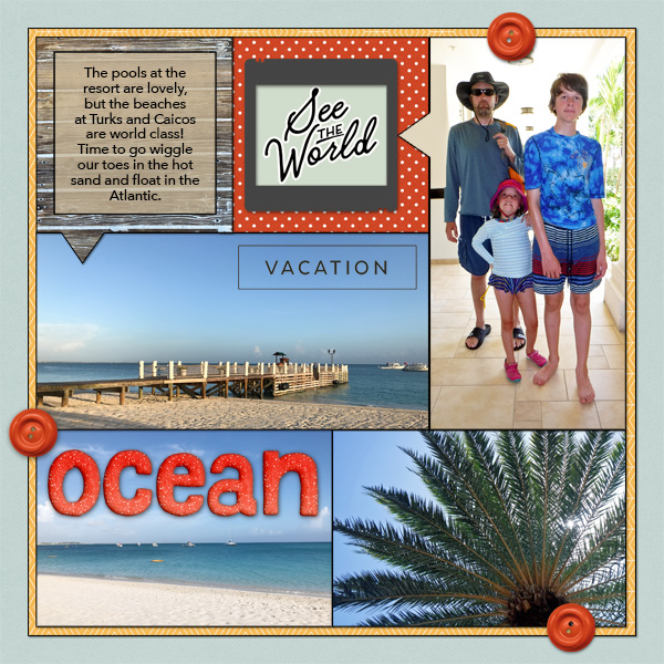 Ocean Turks