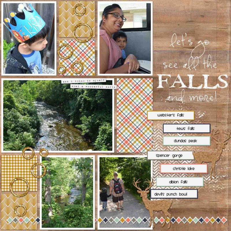 Oct 2017 Amber Labau Product Ch