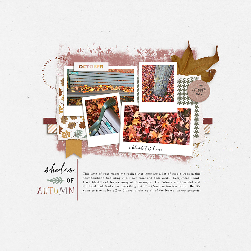 Oct24 Photography Challenge: Shades of Autumn