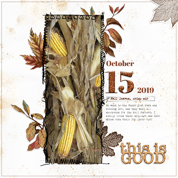 October 15 2019