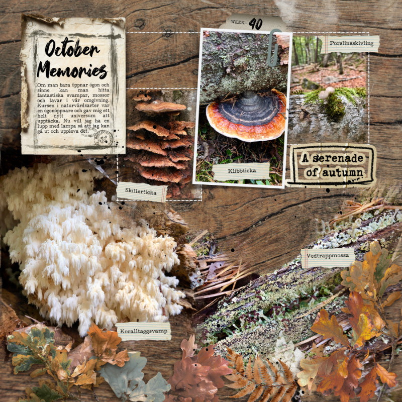 October Memories