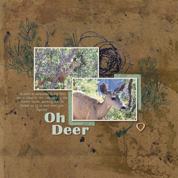 Oh Deer - Colorado 2025.jpg