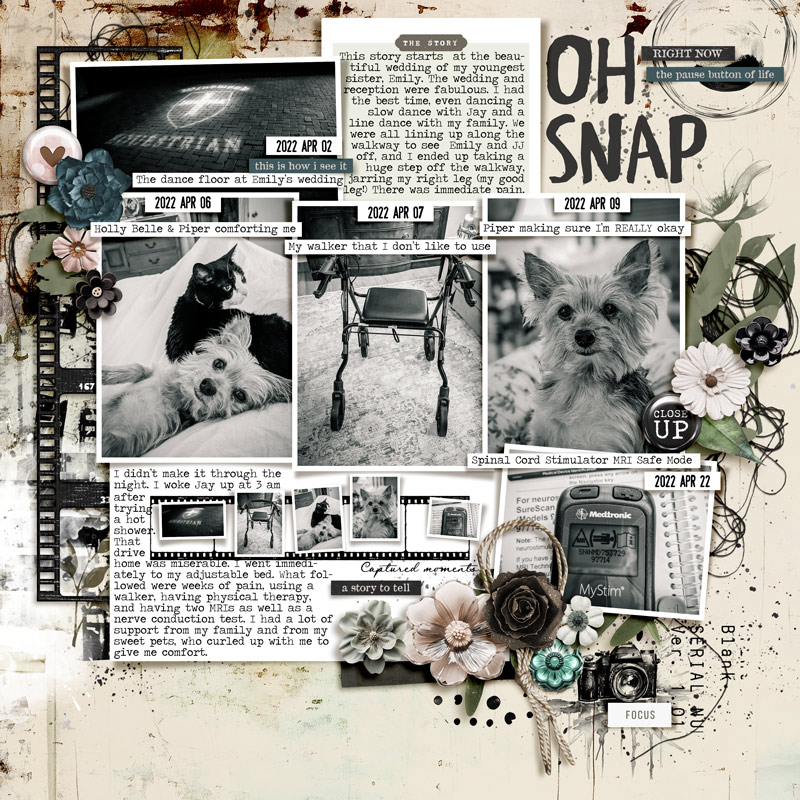 Oh Snap [MOC12 January 20: Moments In Your Life]