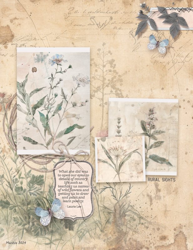 Old-World-Sketchbooks