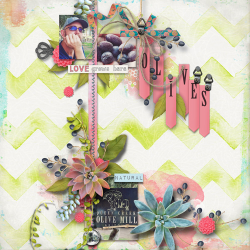 OliveMill