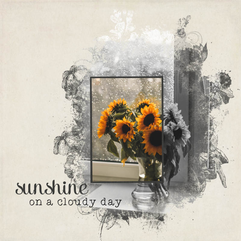 On A Cloudy Day
