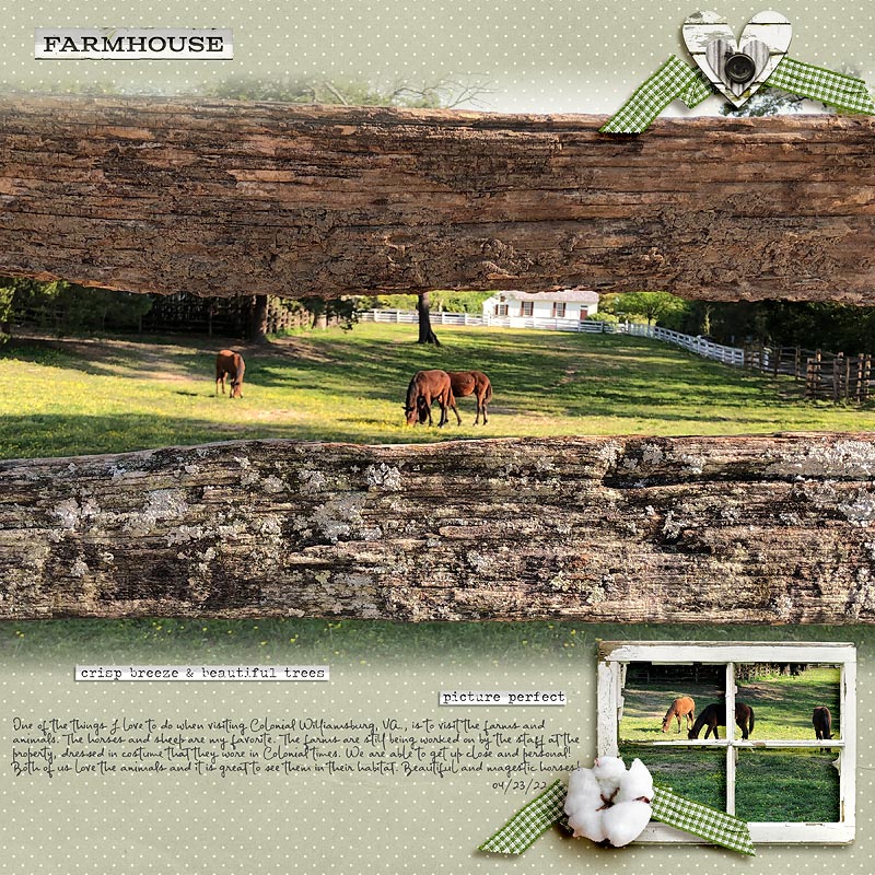 On the Farm