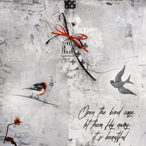Open the bird cage