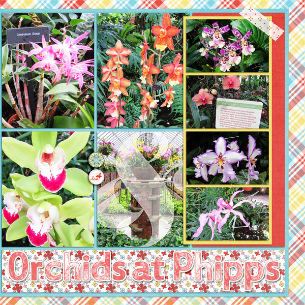 Orchids at Phipps, right side
