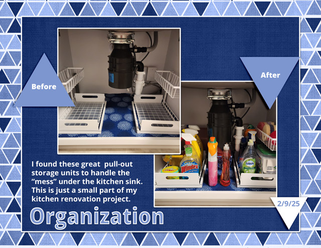 Organization