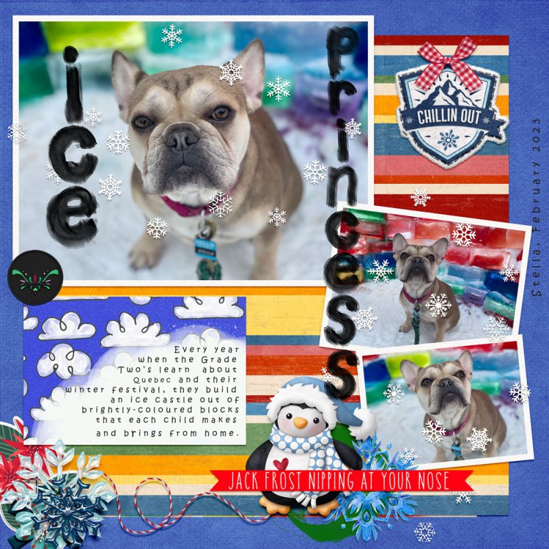 Our Furry Ice Princess