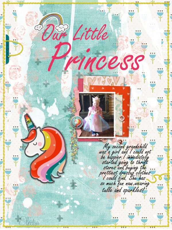 Our Little Princess