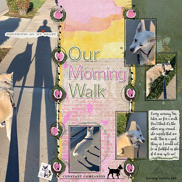 Our Morning Walk