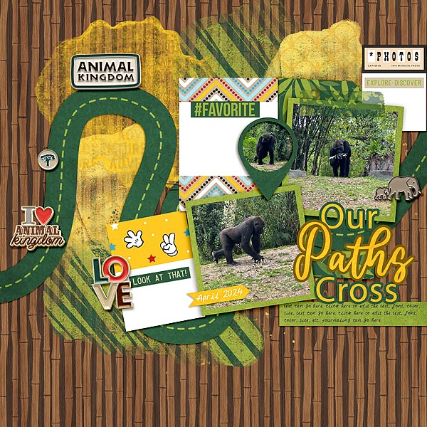Our Paths Cross