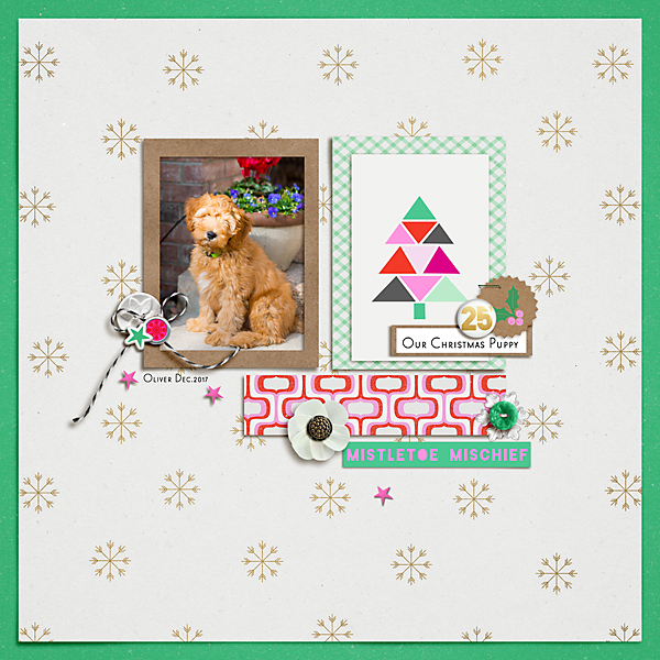 OurChristmasPuppy