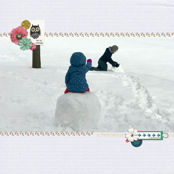 Owl Be In Charge_MOC 16